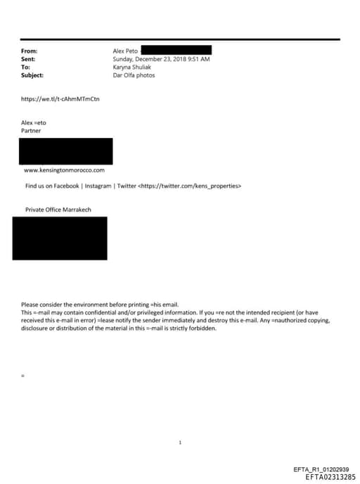 Preview of EFTA02313285