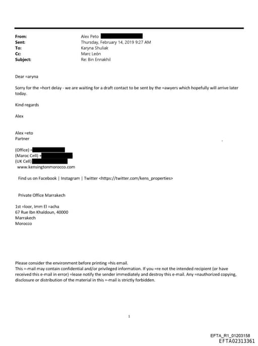 Preview of EFTA02313361