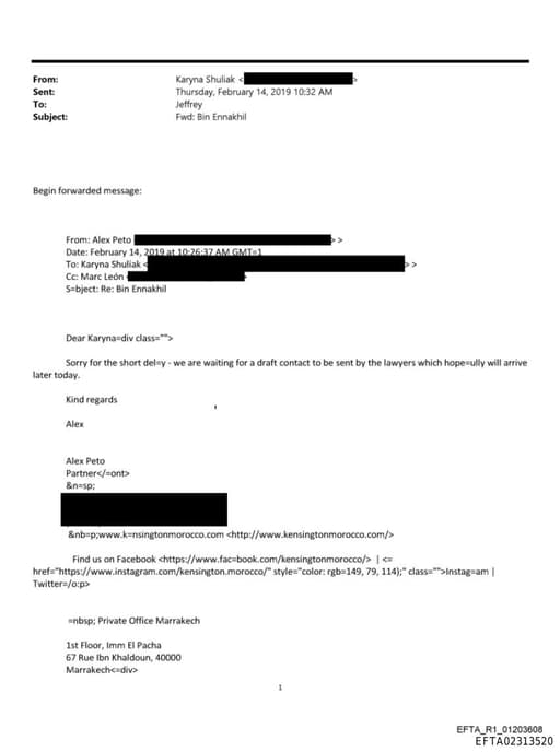 Preview of EFTA02313520