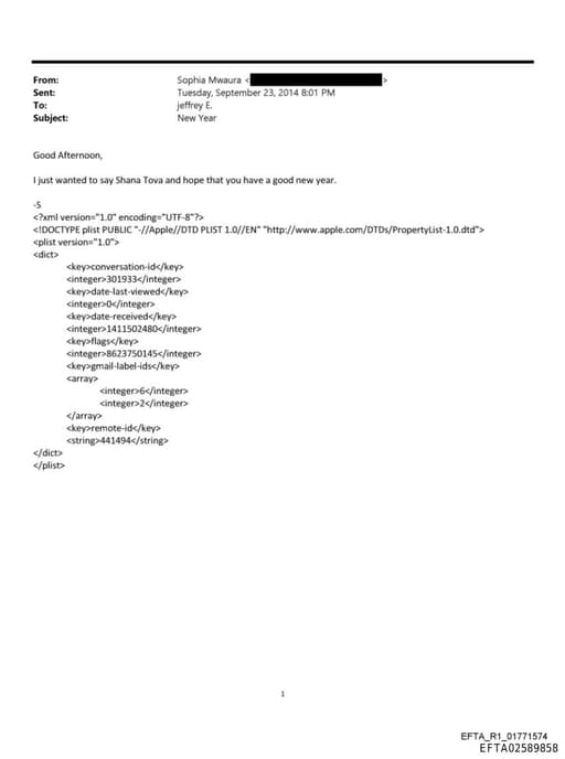 Preview of EFTA02589858