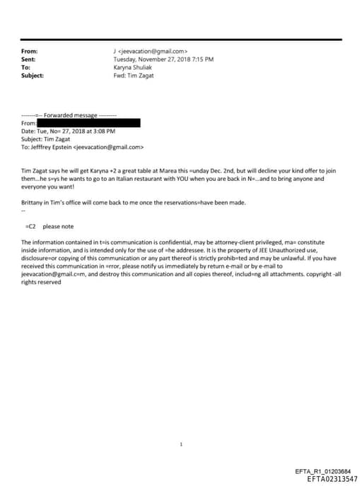 Preview of EFTA02313547