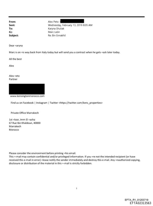 Preview of EFTA02313563