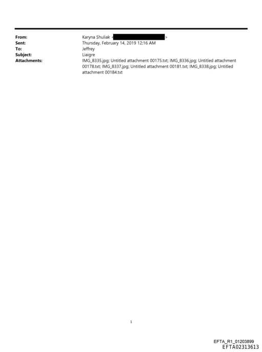 Preview of EFTA02313613