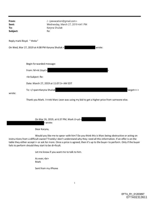 Preview of EFTA02313611