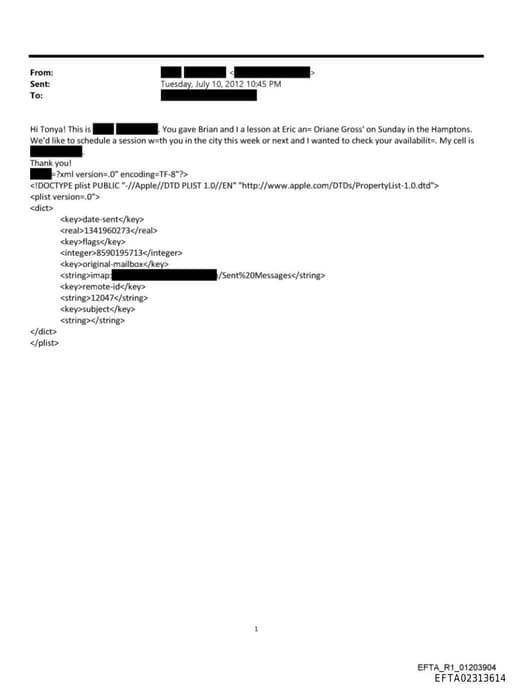 Preview of EFTA02313614