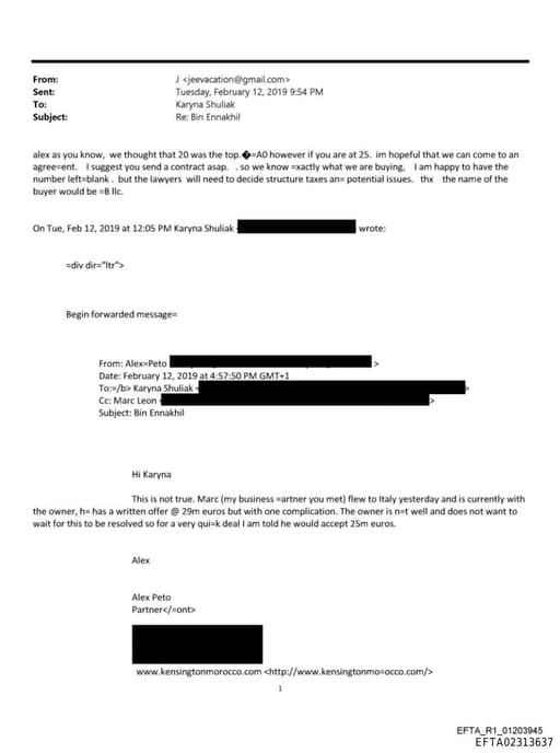 Preview of EFTA02313637