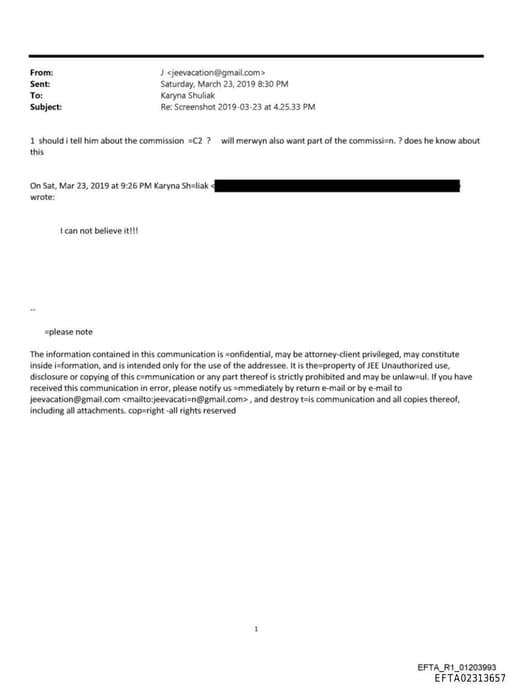 Preview of EFTA02313657