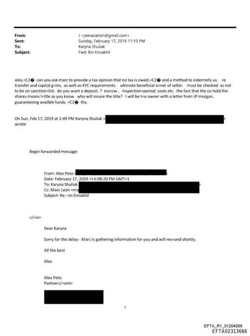 Preview of EFTA02313666