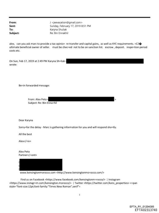 Preview of EFTA02313740