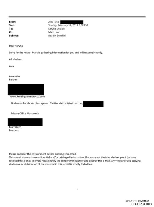 Preview of EFTA02313817