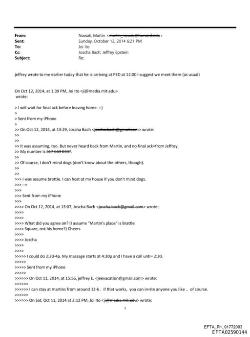 Preview of EFTA02590144