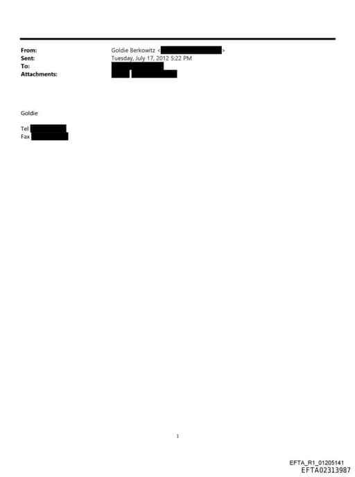 Preview of EFTA02313987