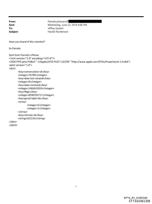 Preview of EFTA02461308