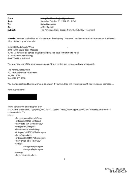 Preview of EFTA02590244