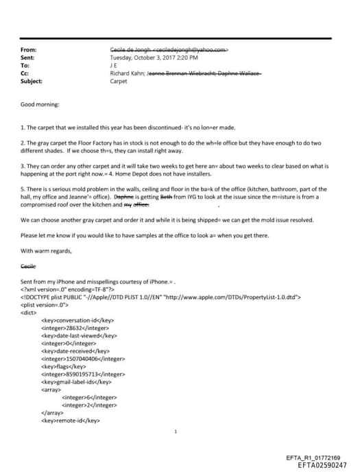 Preview of EFTA02590247