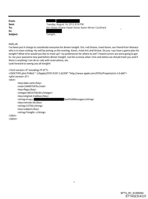 Preview of EFTA02314137