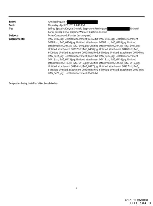 Preview of EFTA02314191