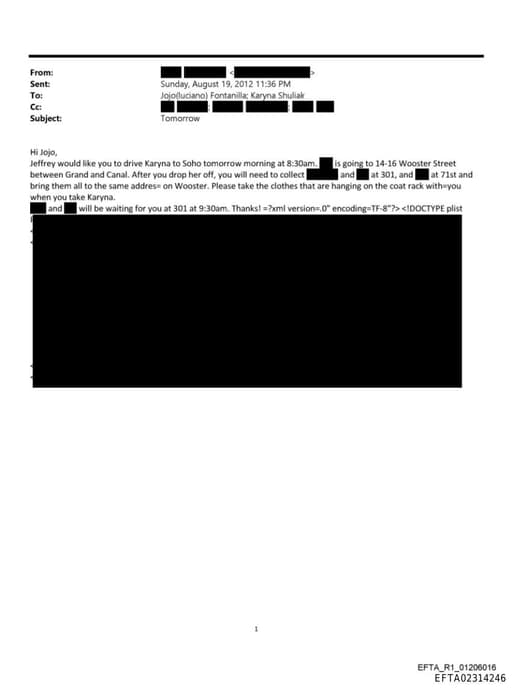 Preview of EFTA02314246