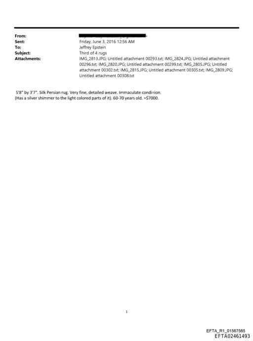 Preview of EFTA02461493