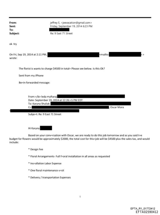 Preview of EFTA02590412