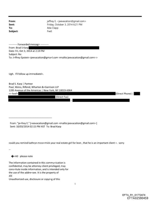 Preview of EFTA02590459