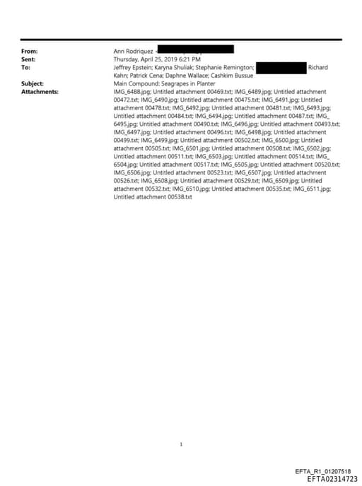 Preview of EFTA02314723