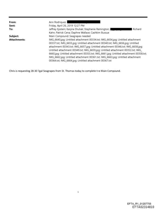 Preview of EFTA02314810