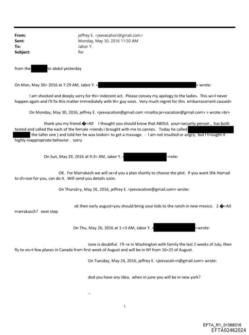 Preview of EFTA02462024