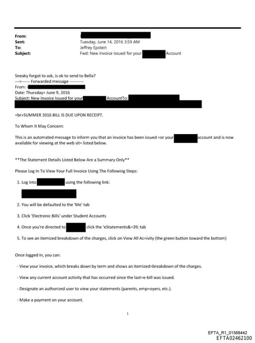 Preview of EFTA02462100