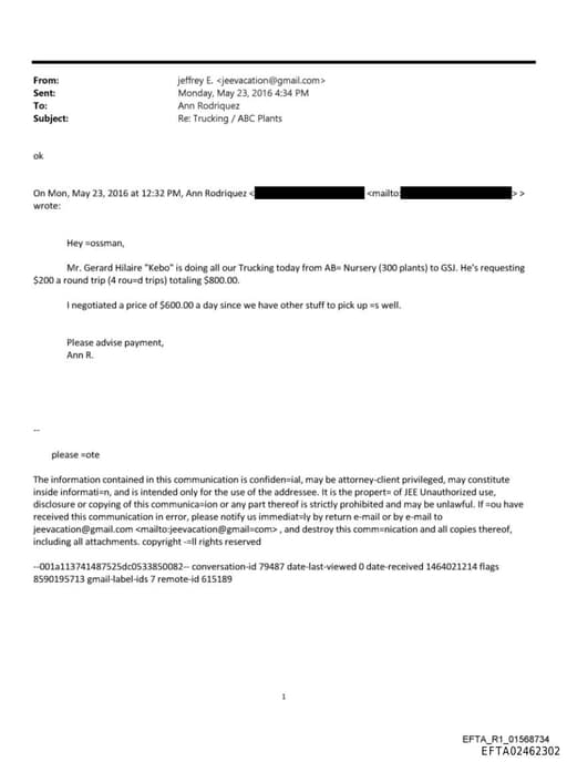 Preview of EFTA02462302