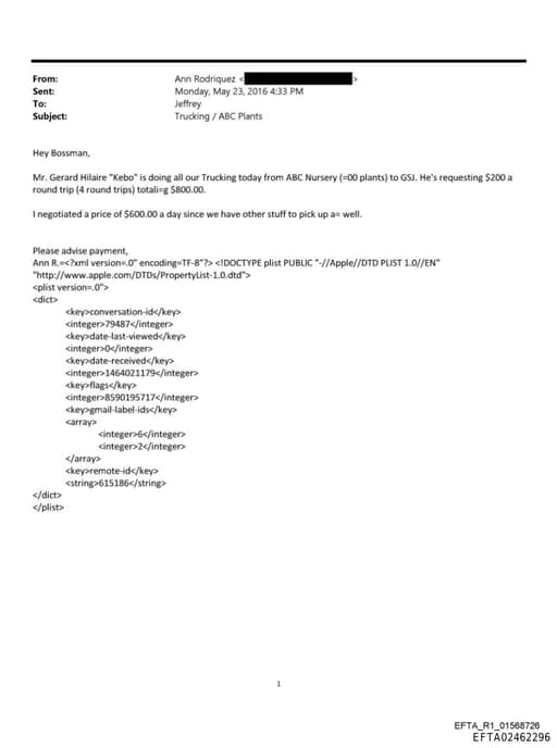 Preview of EFTA02462296