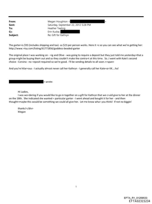 Preview of EFTA02315234