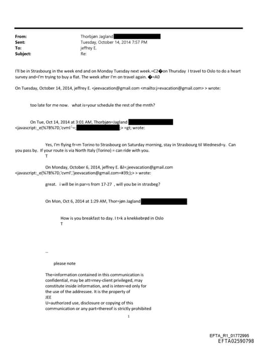 Preview of EFTA02590798