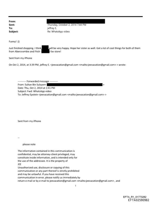 Preview of EFTA02590982