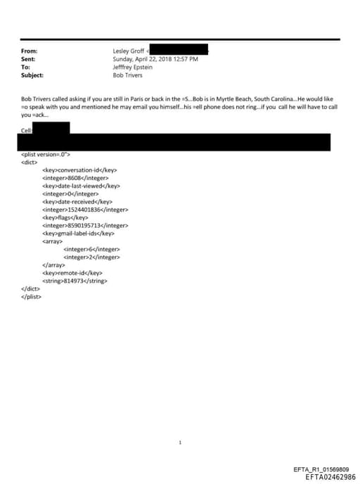 Preview of EFTA02462986