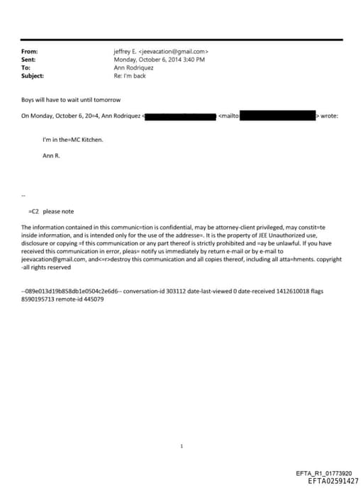 Preview of EFTA02591427