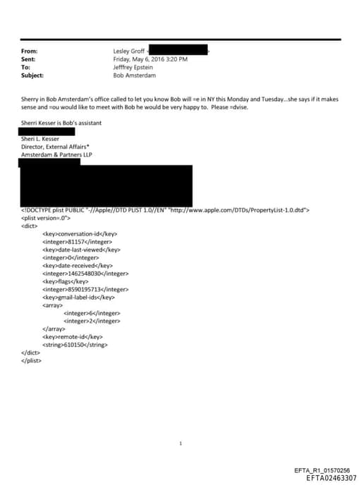 Preview of EFTA02463307