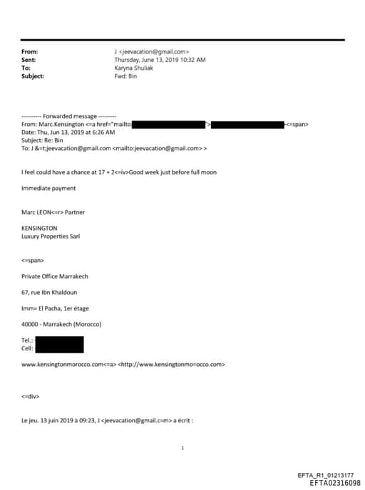 Preview of EFTA02316098