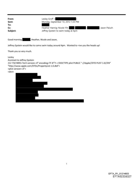 Preview of EFTA02316327