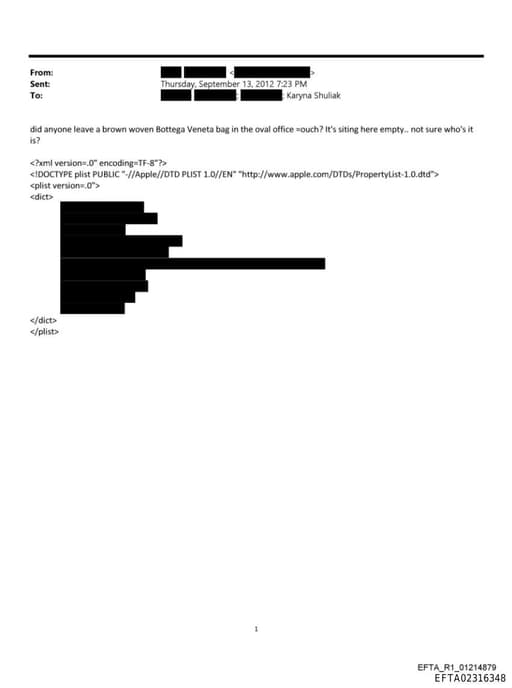 Preview of EFTA02316348