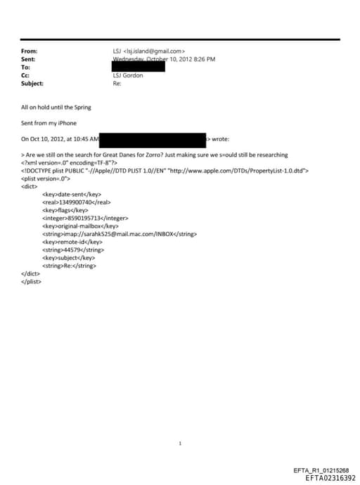 Preview of EFTA02316392