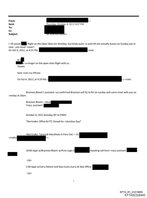 Preview of EFTA02316445