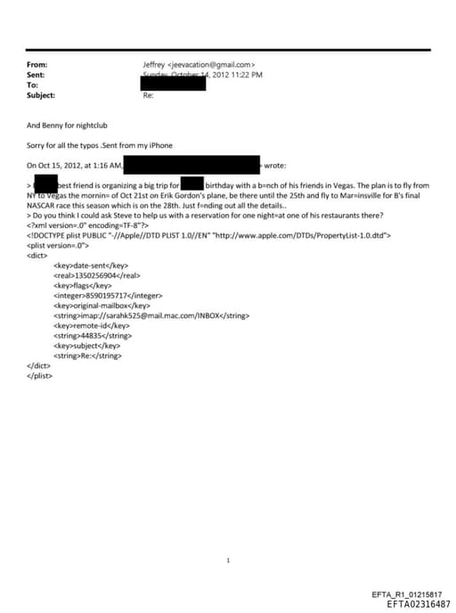 Preview of EFTA02316487