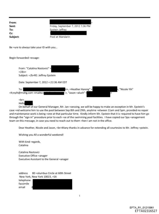 Preview of EFTA02316527