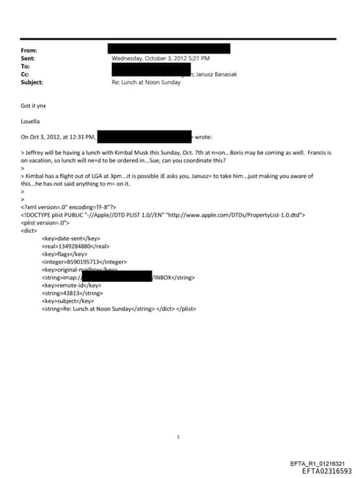 Preview of EFTA02316593