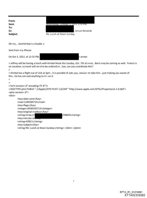 Preview of EFTA02316582