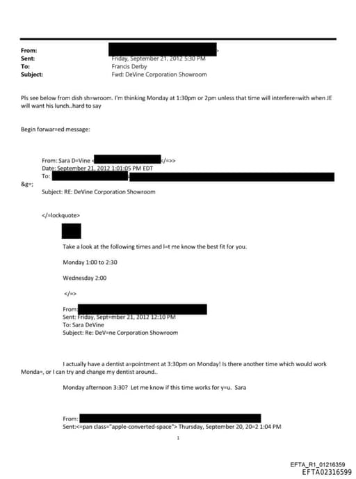 Preview of EFTA02316599