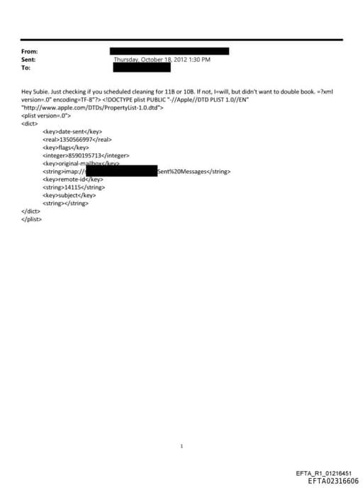 Preview of EFTA02316606