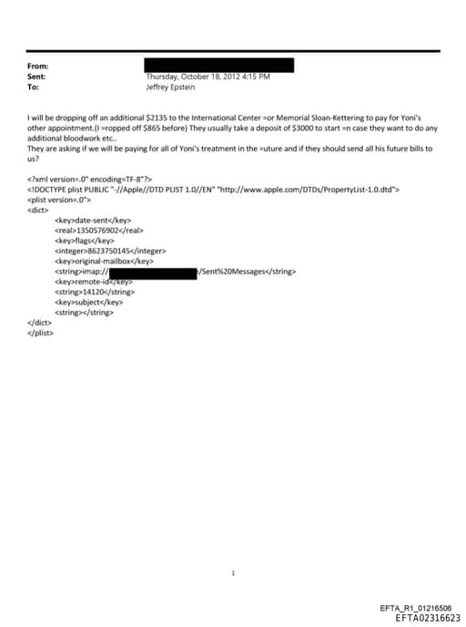 Preview of EFTA02316623