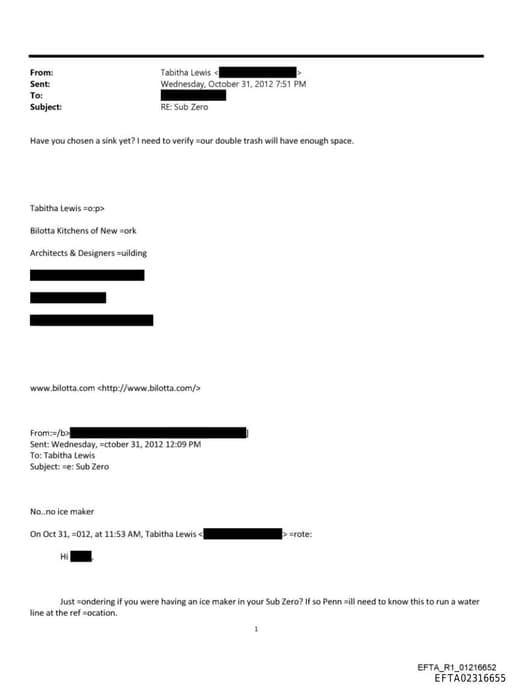 Preview of EFTA02316655